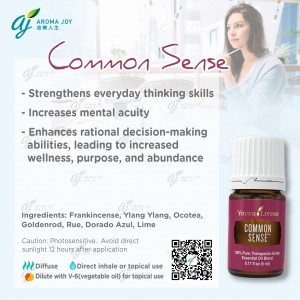 Common Sense 常識